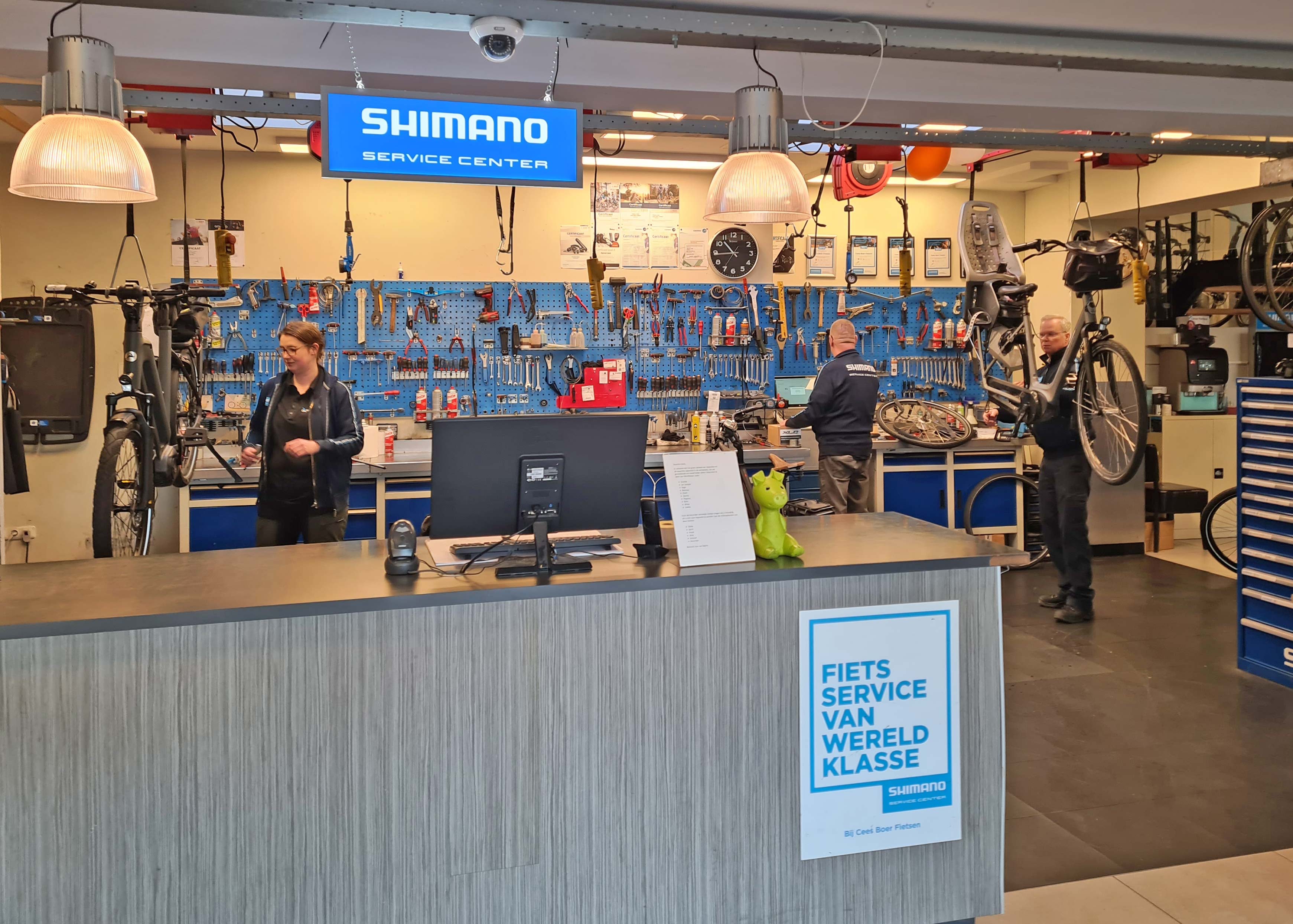 Vakkundige reparatie in een professionele werkplaats